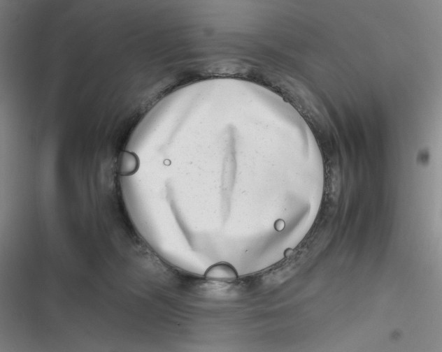 X0000116660326201001111255