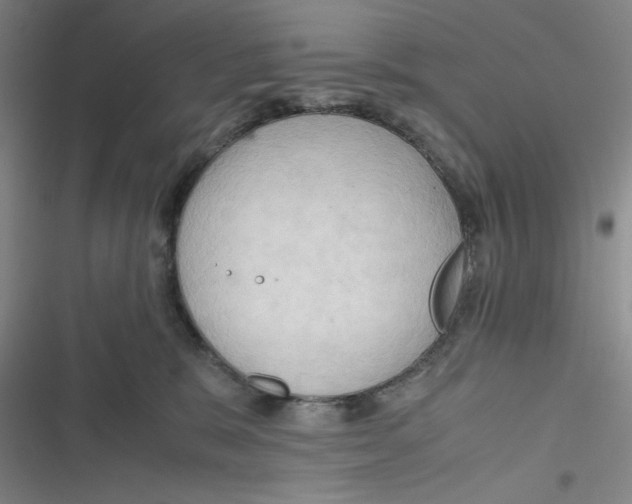 X0000116660327201001111255