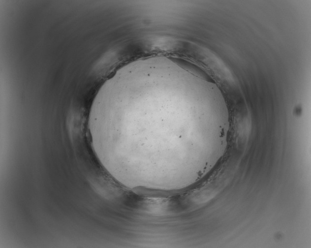 X0000116660328201001111255