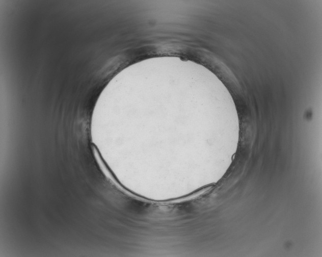 X0000116660329201001111255