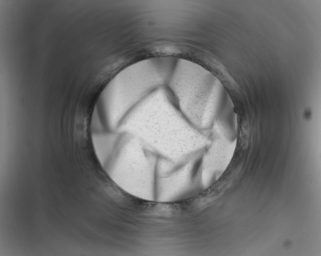 X0000116660330201001111255