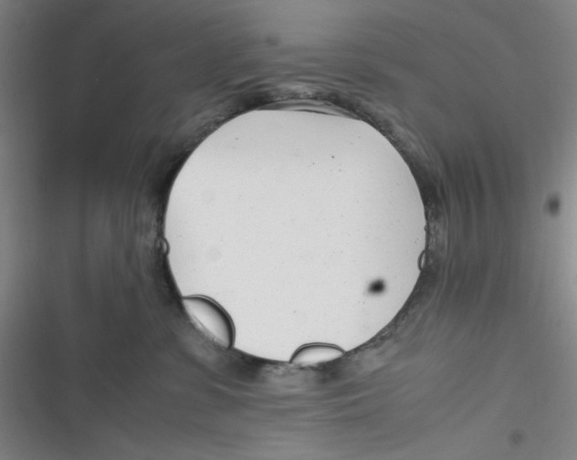 X0000116660331201001111255