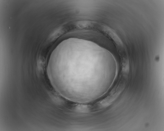 X0000116660332201001111255