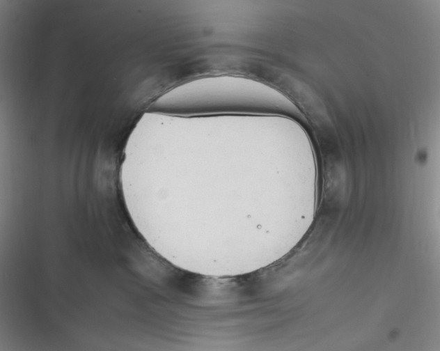 X0000116660333201001111255