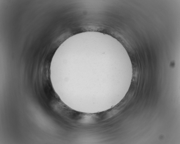 X0000116660334201001111255