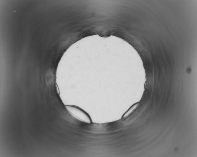 X0000116660335201001111255