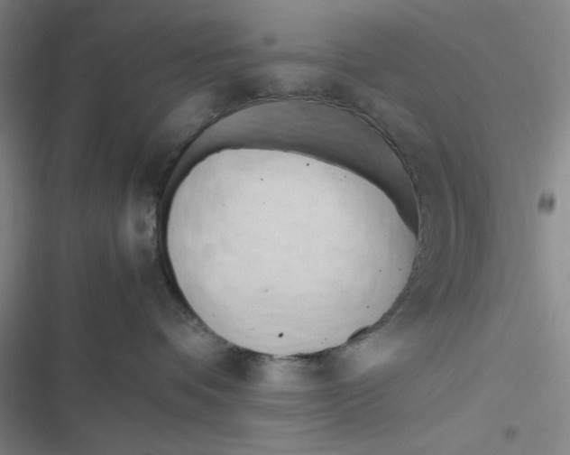 X0000116660336201001111255