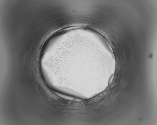 X0000116660337201001111254