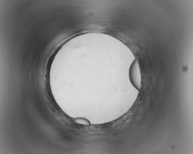 X0000116660338201001111254