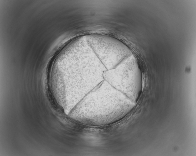 X0000116660339201001111254