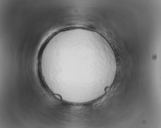 X0000116660342201001111254