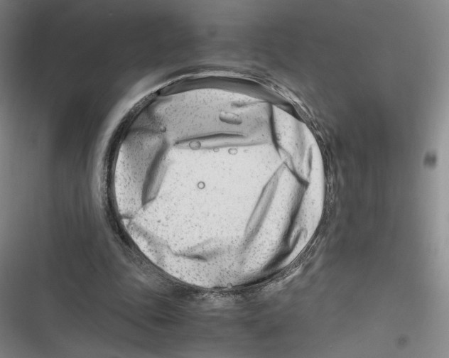 X0000116660343201001111254