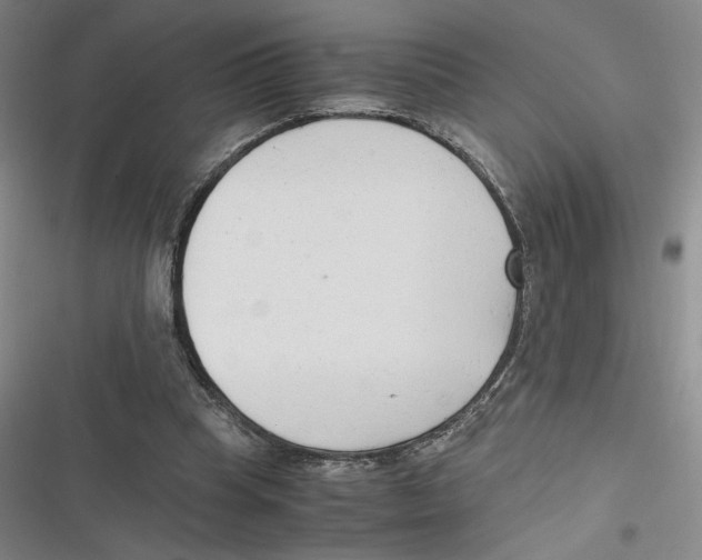 X0000116660345201001111254
