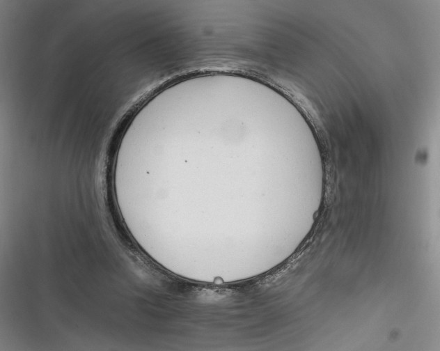 X0000116660346201001111254