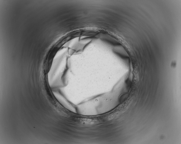 X0000116660347201001111254