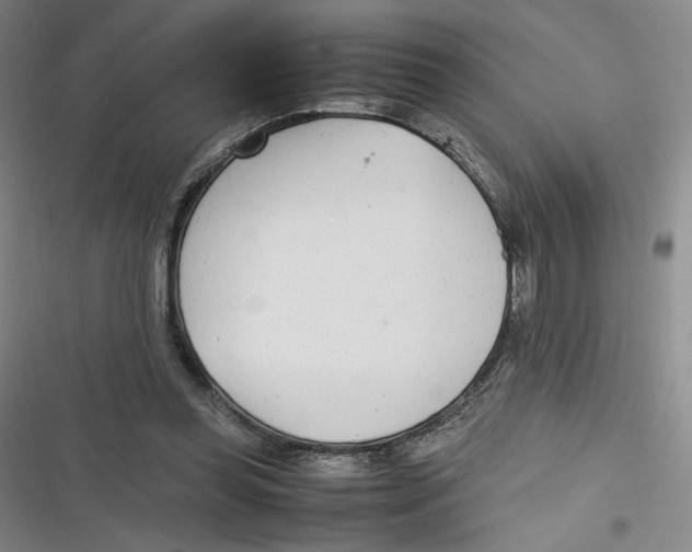 X0000116660349201001111254