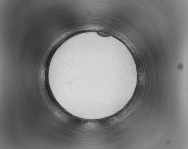 X0000116660350201001111254