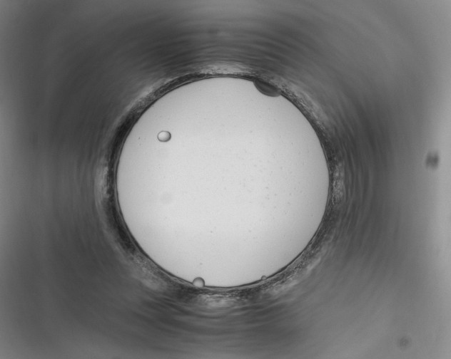 X0000116660351201001111255