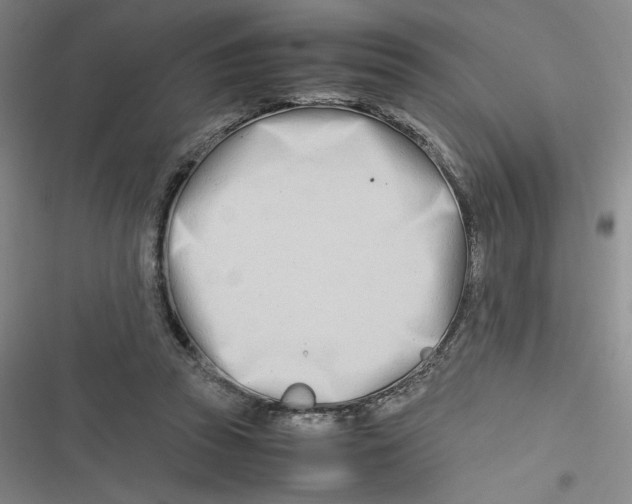 X0000116660353201001111255