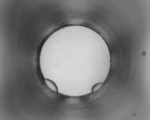 X0000116660354201001111255