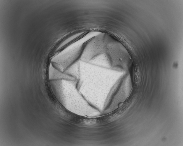 X0000116660355201001111255