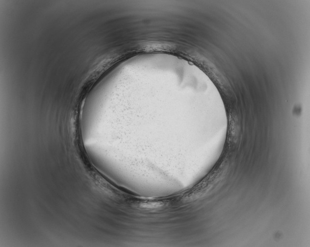 X0000116660357201001111255