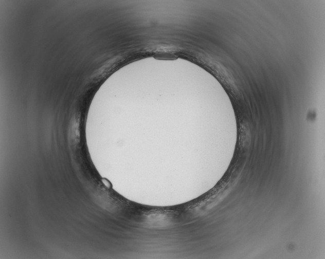 X0000116660358201001111255