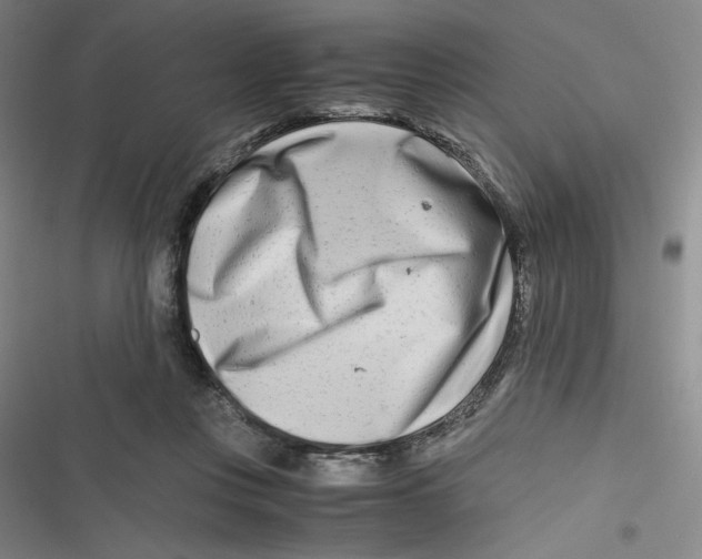 X0000116660359201001111255