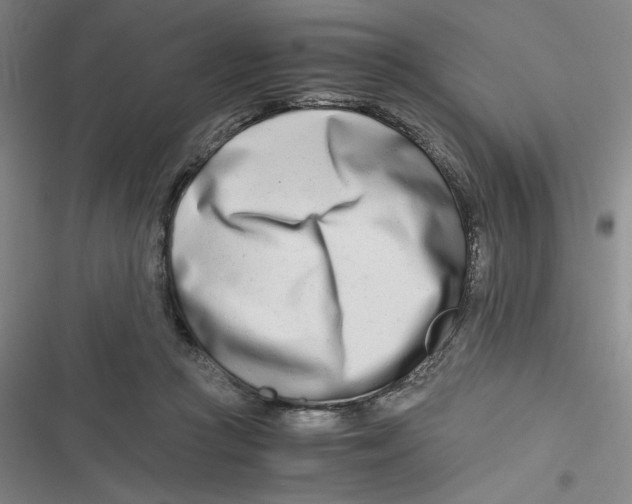 X0000116660361201001111255