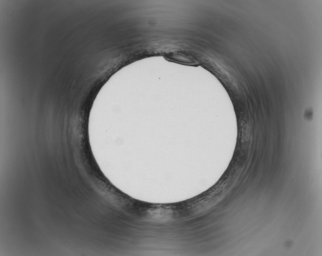 X0000116660362201001111255