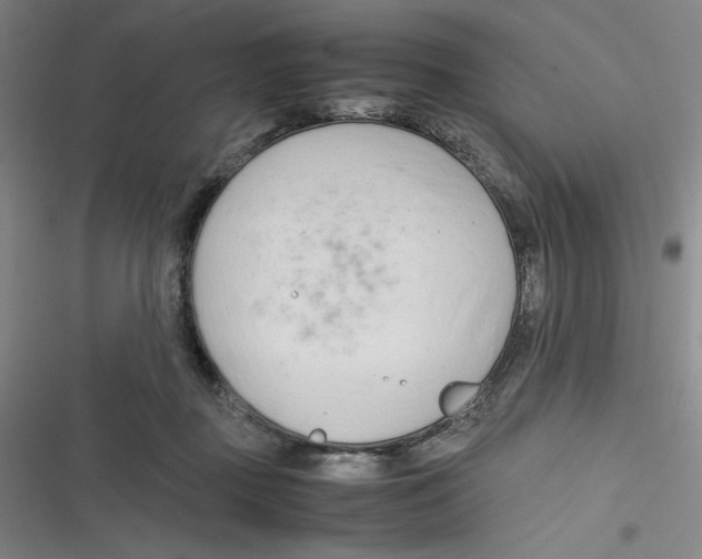 X0000116660363201001111255