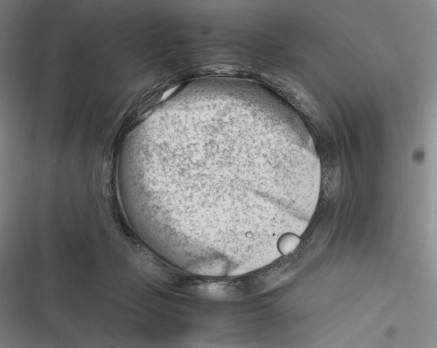 X0000116660365201001111255