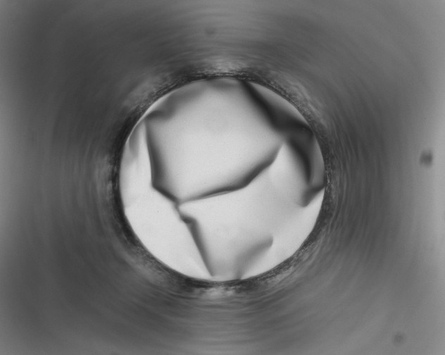 X0000116660366201001111255