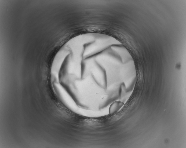X0000116660367201001111255