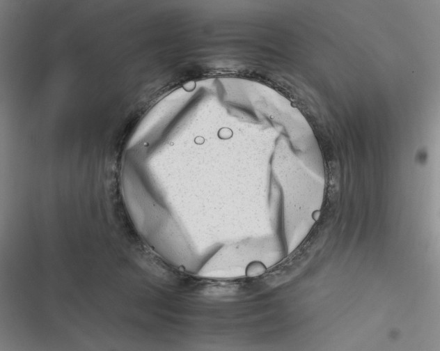 X0000116660369201001111255