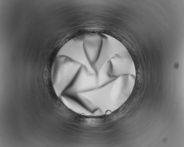 X0000116660371201001111255