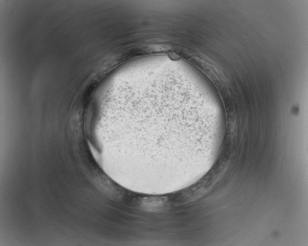 X0000116660373201001111255