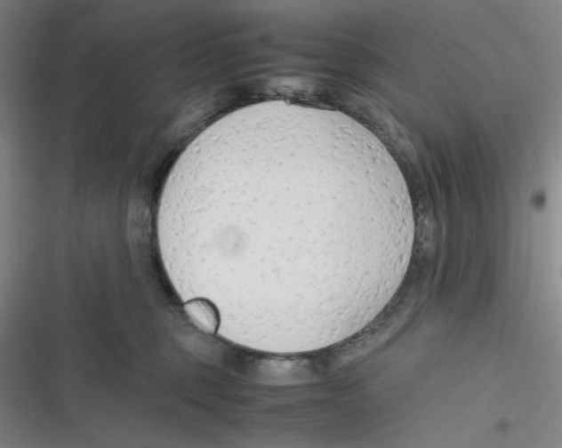 X0000116660375201001111255