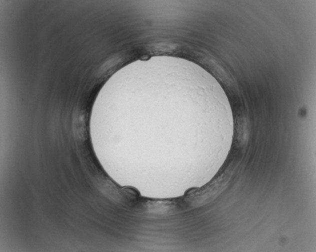 X0000116660378201001111255