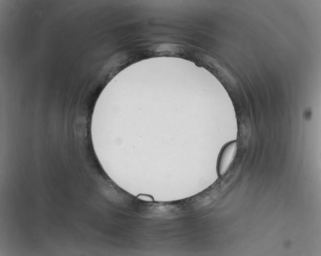 X0000116660379201001111255