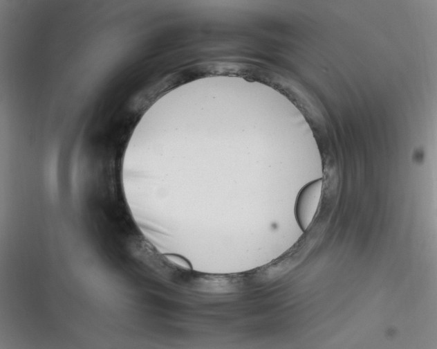X0000116660381201001111255