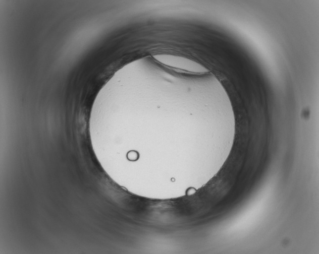 X0000116660382201001111255