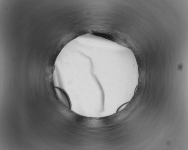 X0000116660383201001111255