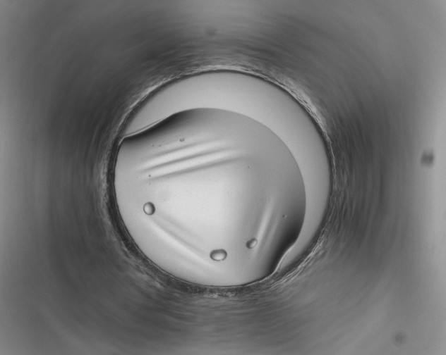 X0000116660386201001111254