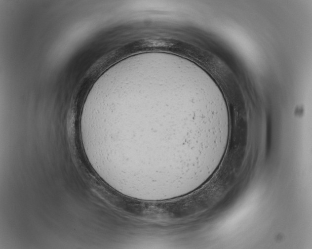 X0000116660387201001111254