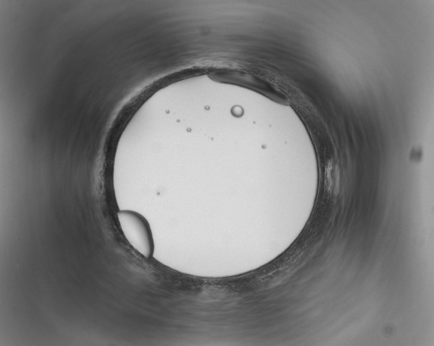 X0000116660388201001111254
