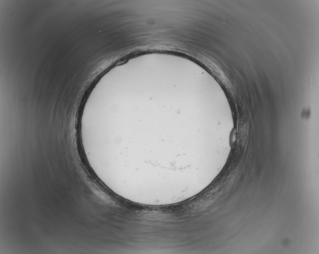 X0000116660389201001111254