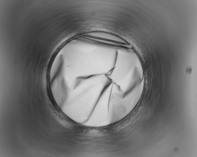 X0000116660390201001111254