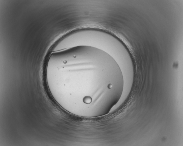 X0000116660391201001111254