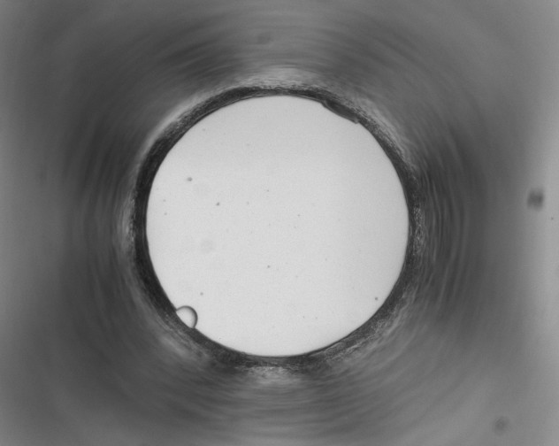 X0000116660392201001111254
